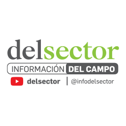 delsector | Información del campo