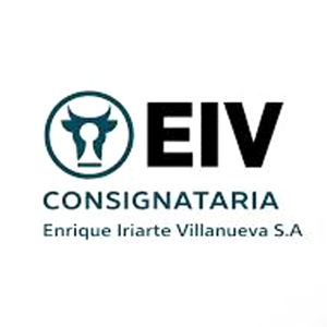 ENRIQUE IRIARTE VILLANUEVA S.A