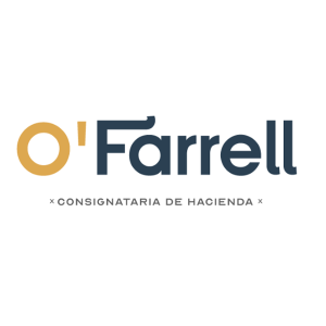 O'Farrell S.R.L.