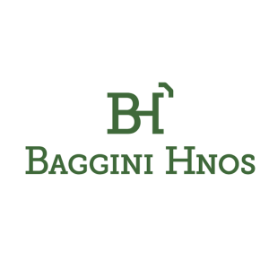 BAGGINI HNOS. S.R.L.