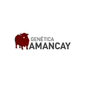 Genética Amancay