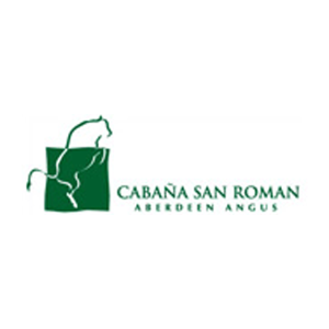 Cabaña San Román