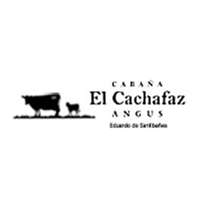 El Cachafaz