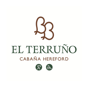El Terruño