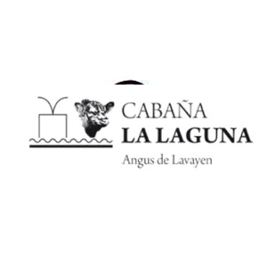 La Laguna