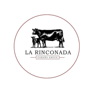 La Rinconada