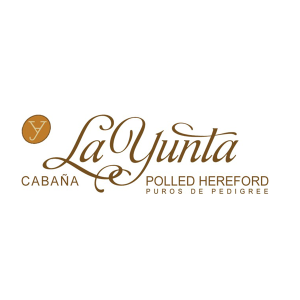 La Yunta