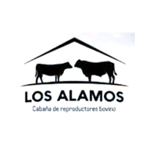 Los Alamos