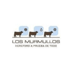 Los Murmullos