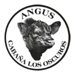 Los Oscuros