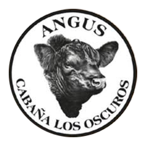 Los Oscuros