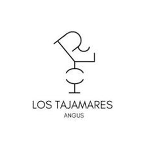 Los Tajamares