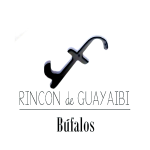 Rincón de Guayaibi