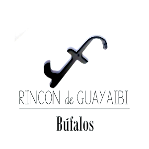 Rincón de Guayaibi