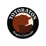 Totoraton | Angus Colorado