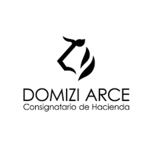 DOMIZI ARCE S.R.L.