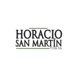 HORACIO SAN MARTÍN Y CÍA S.A.