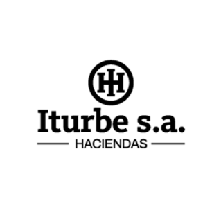 Iturbe S.A.