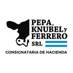 PEPA, KNUBEL Y FERRERO S.R.L.