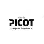 PICOT Negocios Ganaderos