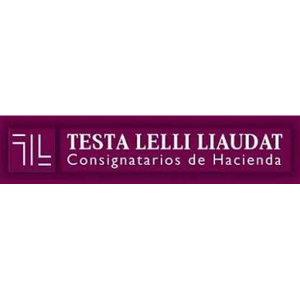 TESTA, LELLI, LIAUDAT Y CÍA. S.R.L.