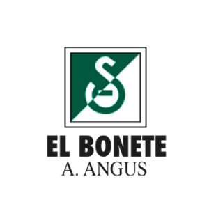 El Bonete