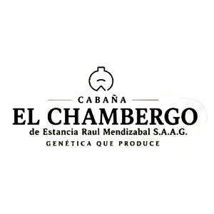 El Chambergo