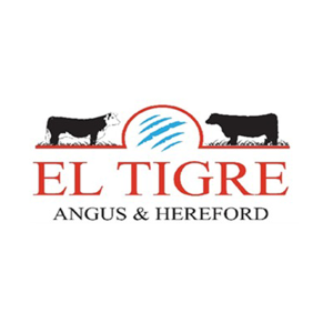 El Tigre