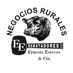 Ernesto Esteves & Cia. - Negocios Rurales